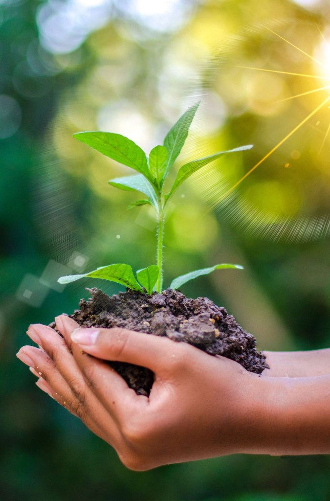 compostable products manufacturers in Udaipur india